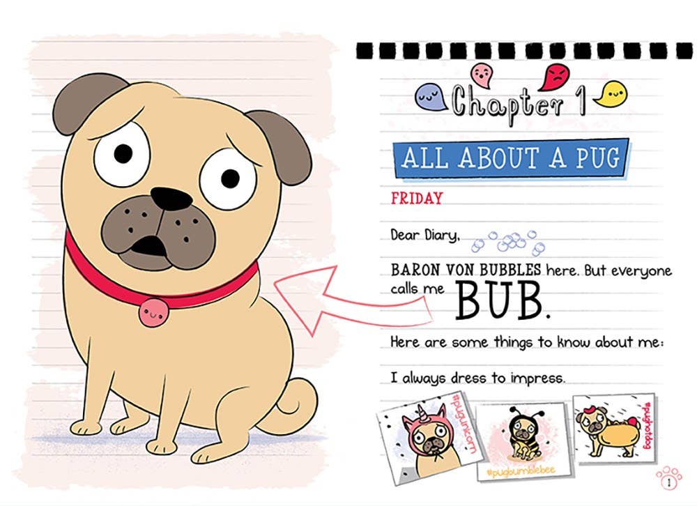 Scaredy-Pug